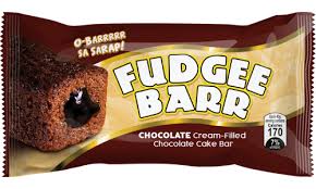 Fudgee Barr Chocolate 40g 10's